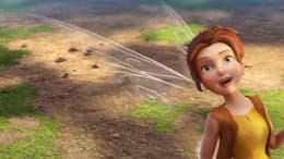 Tinker Bell and the Pirate Fairy