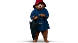 Paddington in Peru