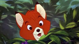 The Fox and the Hound