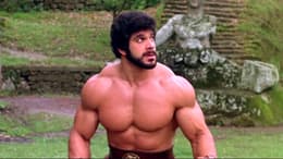 The Adventures of Hercules