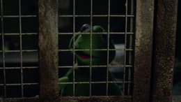 Muppets Most Wanted