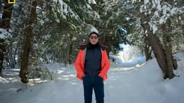 Tucci in Italy