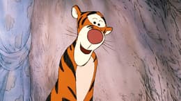 The Many Adventures of Winnie the Pooh