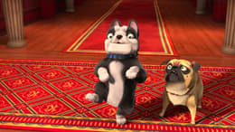The Nut Job 2: Nutty by Nature