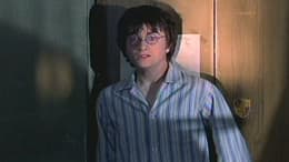 Harry Potter and the Chamber of Secrets