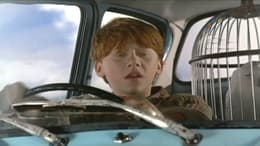 Harry Potter and the Chamber of Secrets