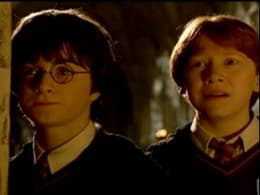 Harry Potter and the Chamber of Secrets