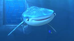 Finding Dory