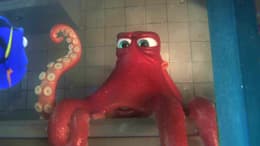 Finding Dory