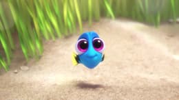 Finding Dory