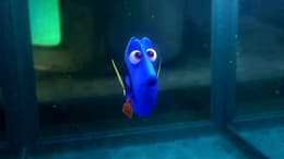 Finding Dory